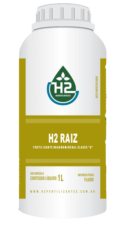 H2 Raiz - 0